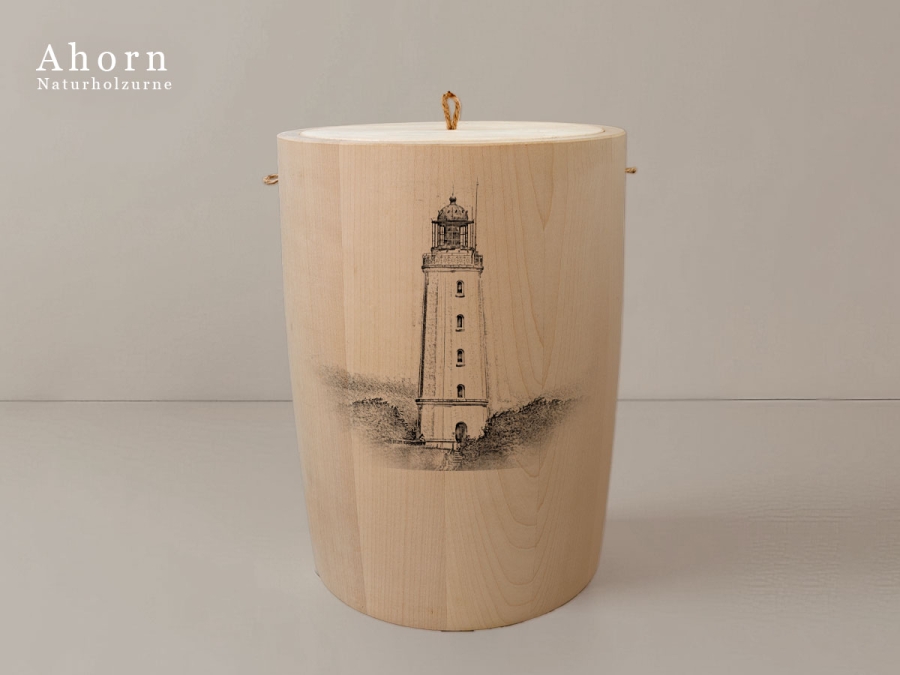 Leuchtturm Hiddensee Dornbusch