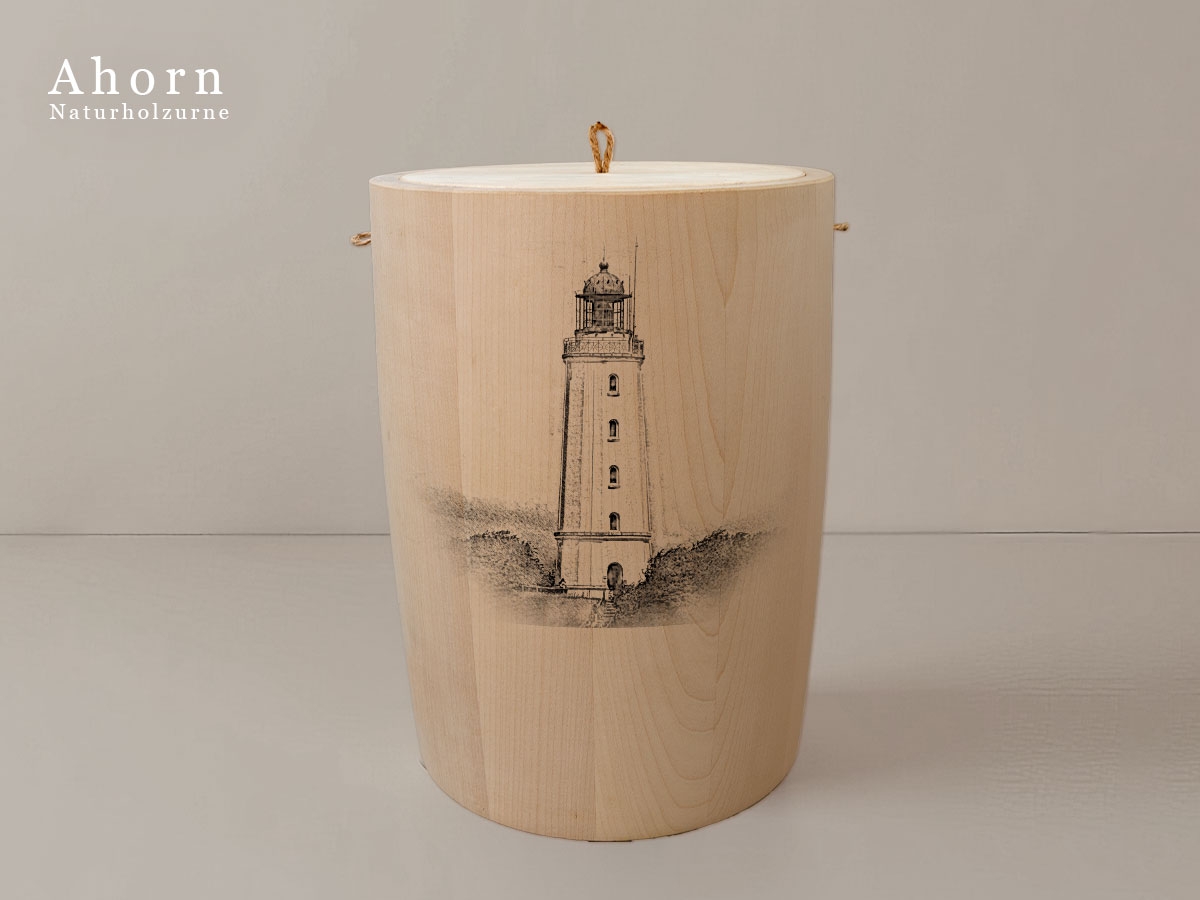 Leuchtturm Hiddensee Dornbusch