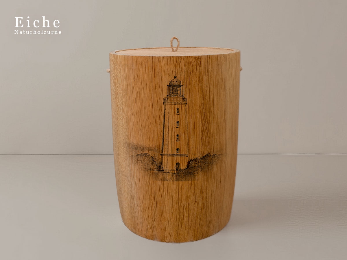 Leuchtturm Hiddensee Dornbusch