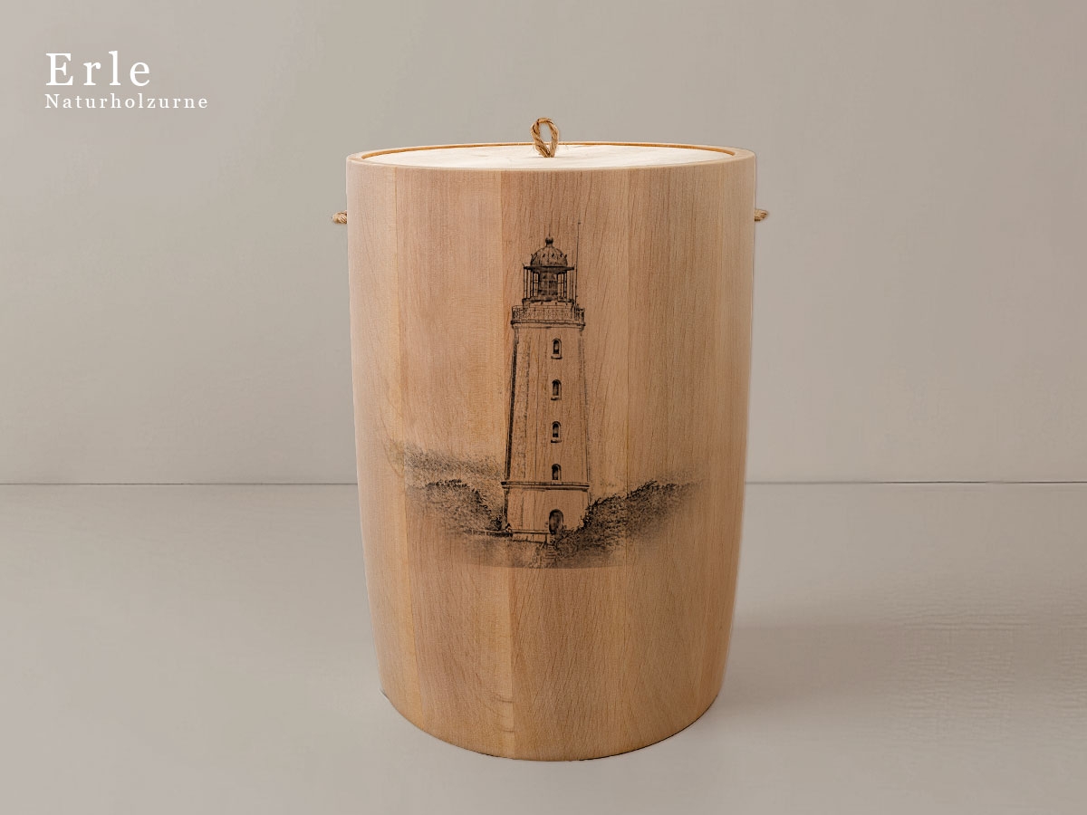 Leuchtturm Hiddensee Dornbusch