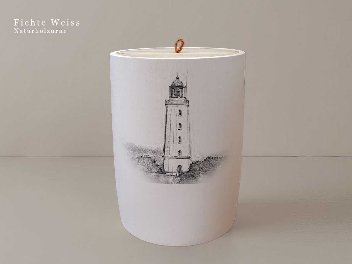 Leuchtturm Hiddensee Dornbusch
